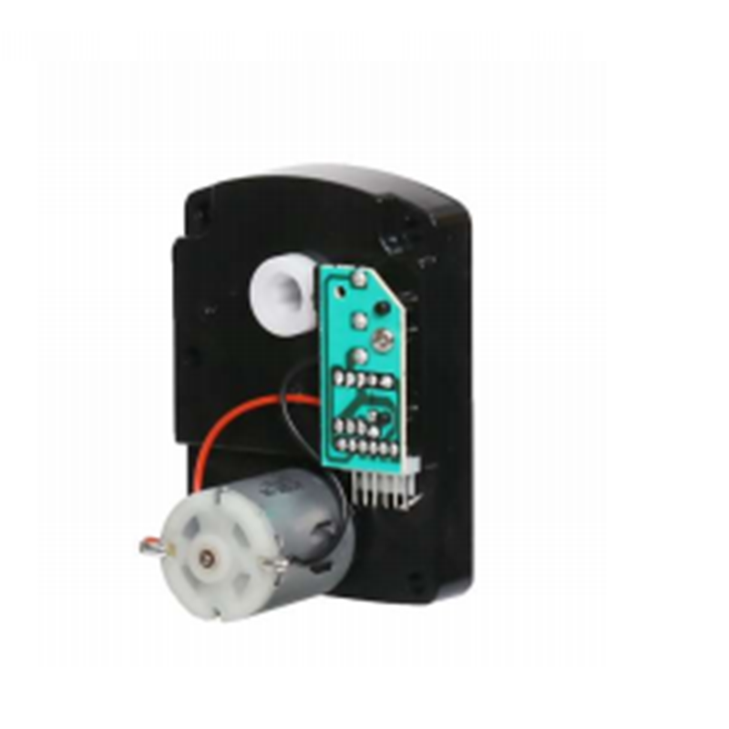 36Моторная система