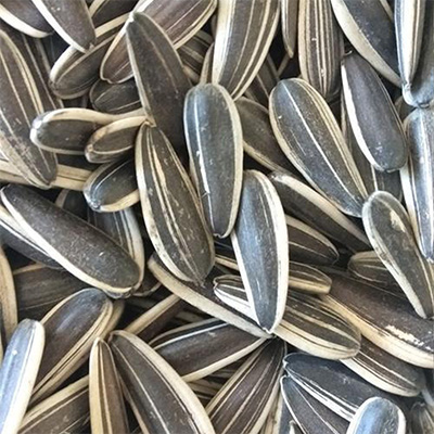 Семечки подсолнечника 601 товар