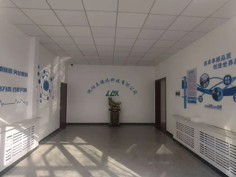 ООО Шэньян Лидэсюнь Технолоджи