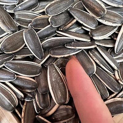 Семечки подсолнечника TQ-6 товар