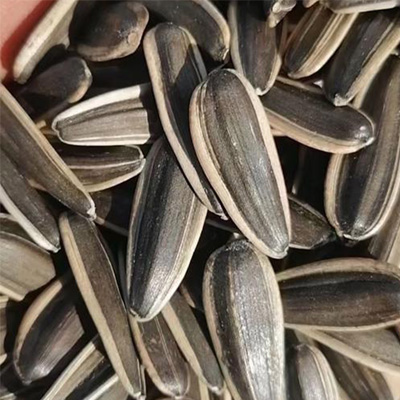 Семечки подсолнечника TQ-6 товар