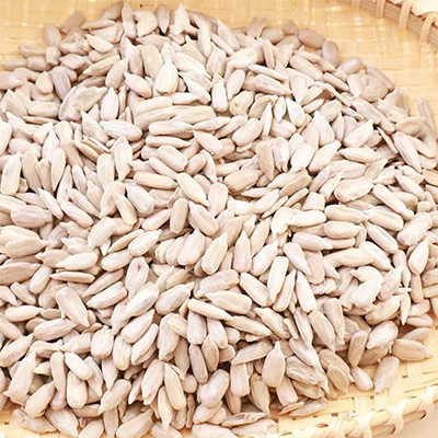 Ядра семян подсолнечника