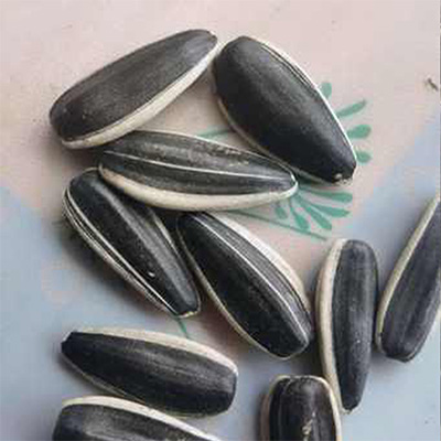 Семечки подсолнечника TQ-5 товар